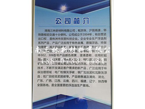 公司簡介